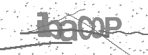 CAPTCHA Image